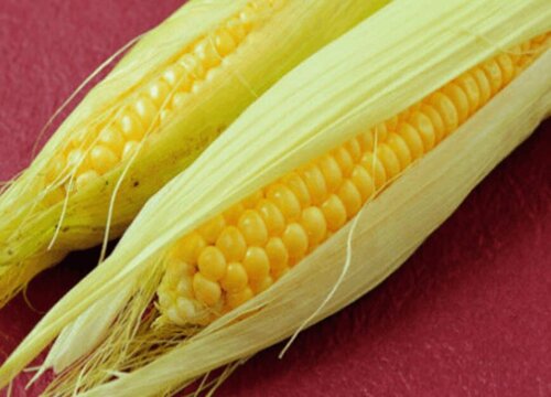 生玉米能直接吃吗